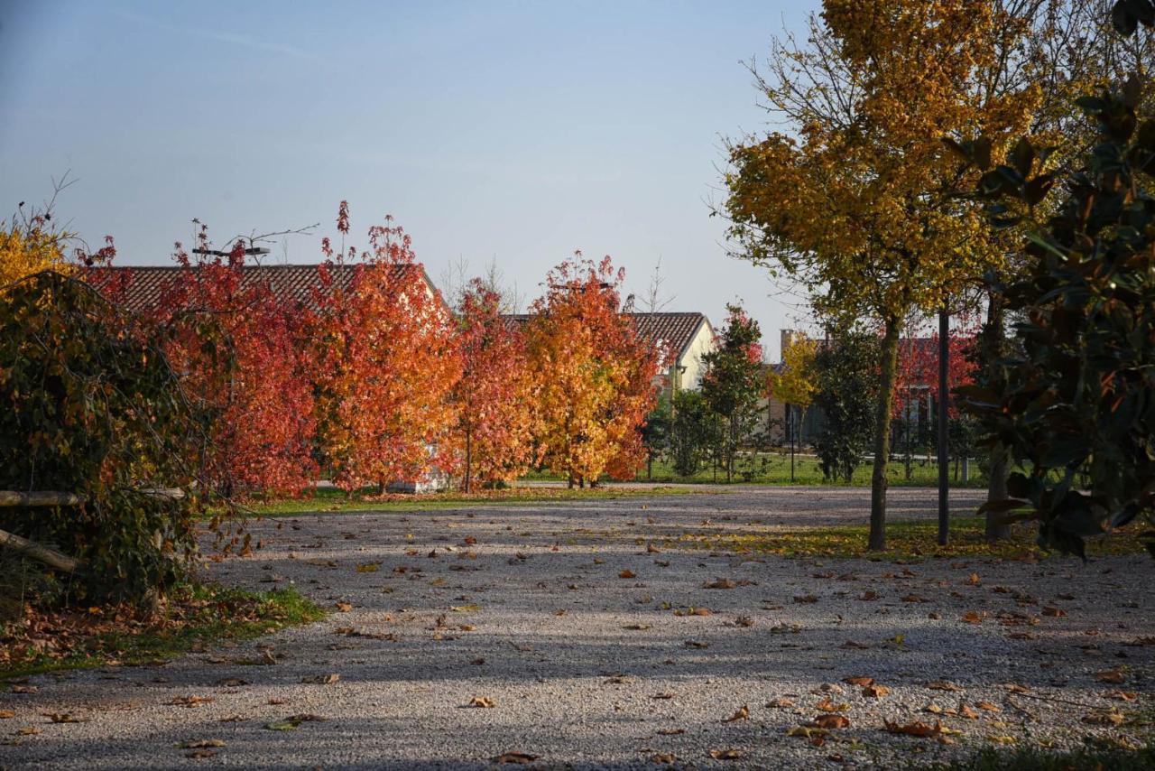 Вилла Agriturismo Corte Benetti Ровиго Экстерьер фото